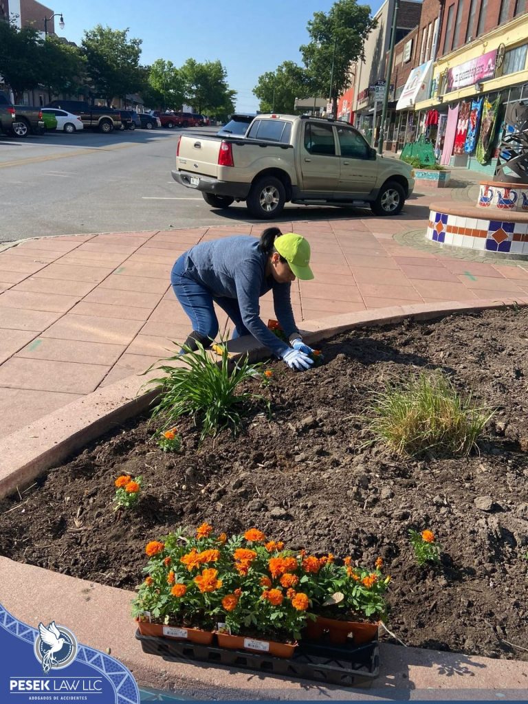 ¡Día Anual de Siembra de Primavera, nuevamente todo un éxito!