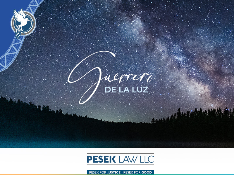 El Abogado de la Pradera - Guerrero de la Luz