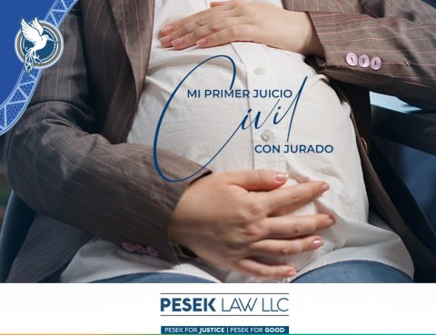 El Abogado de la Pradera - Mi Primer Juicio Civil con Jurado