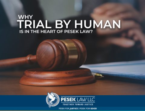 Trial by Human is Pesek Laws’s deep commitment to honoring the story behind each client in support of their defense.
