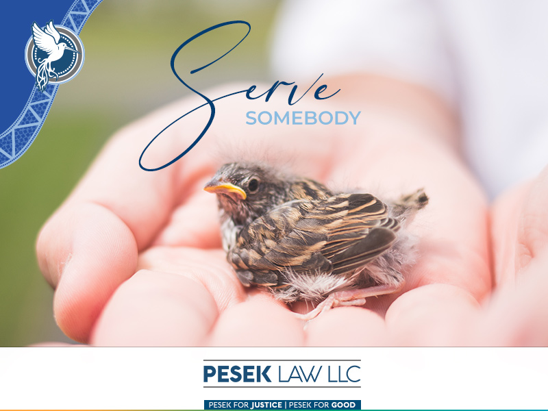 The Praire Barrister - Serve Somebody